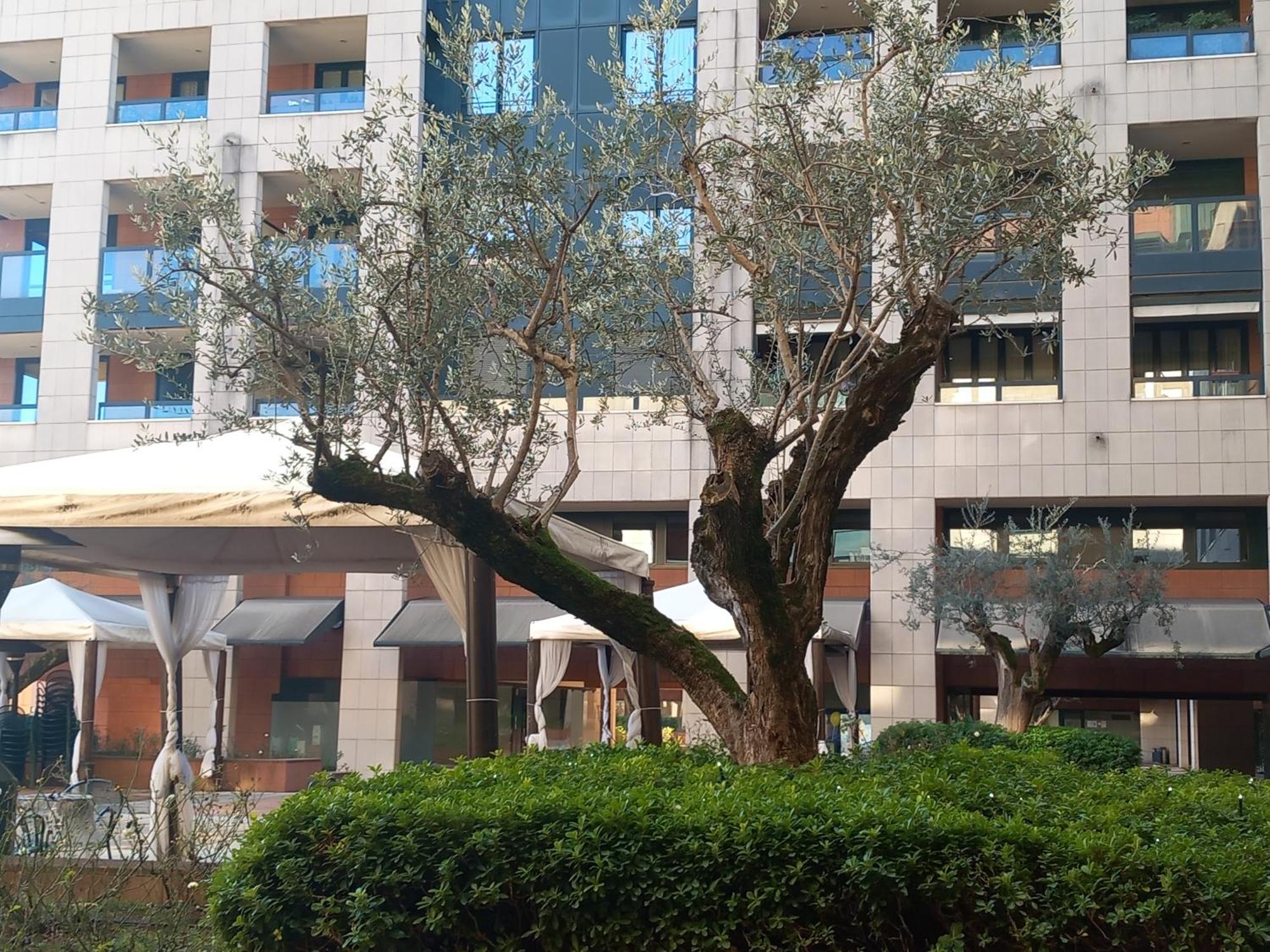 科莫Bilocale Con Terrazzo E Box Auto Su Richiesta公寓 外观 照片